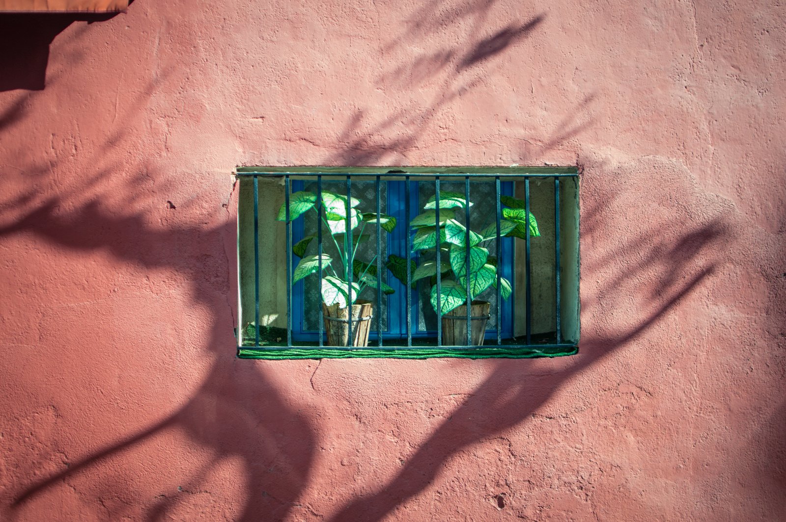 Kelonė į Ispaniją: trupiniai