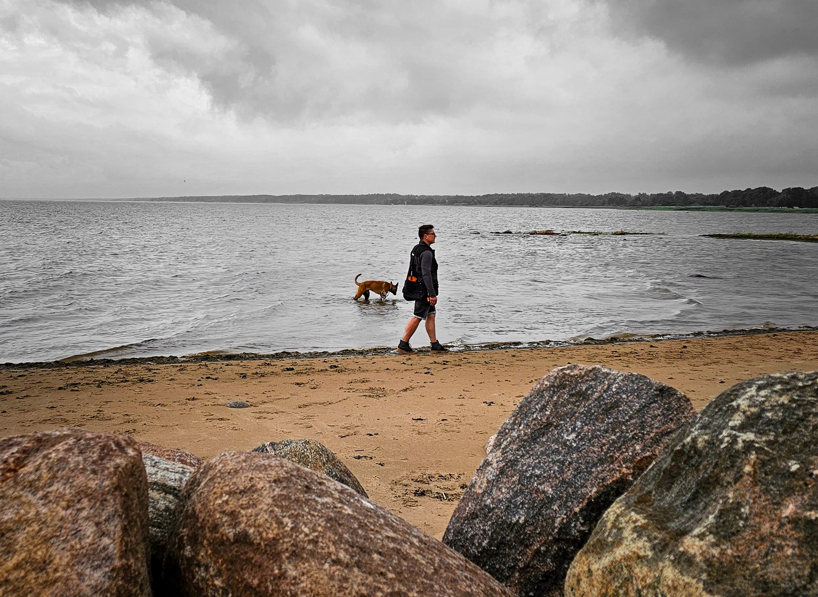 2023 liepa: pirmos atostogos su šuniuku