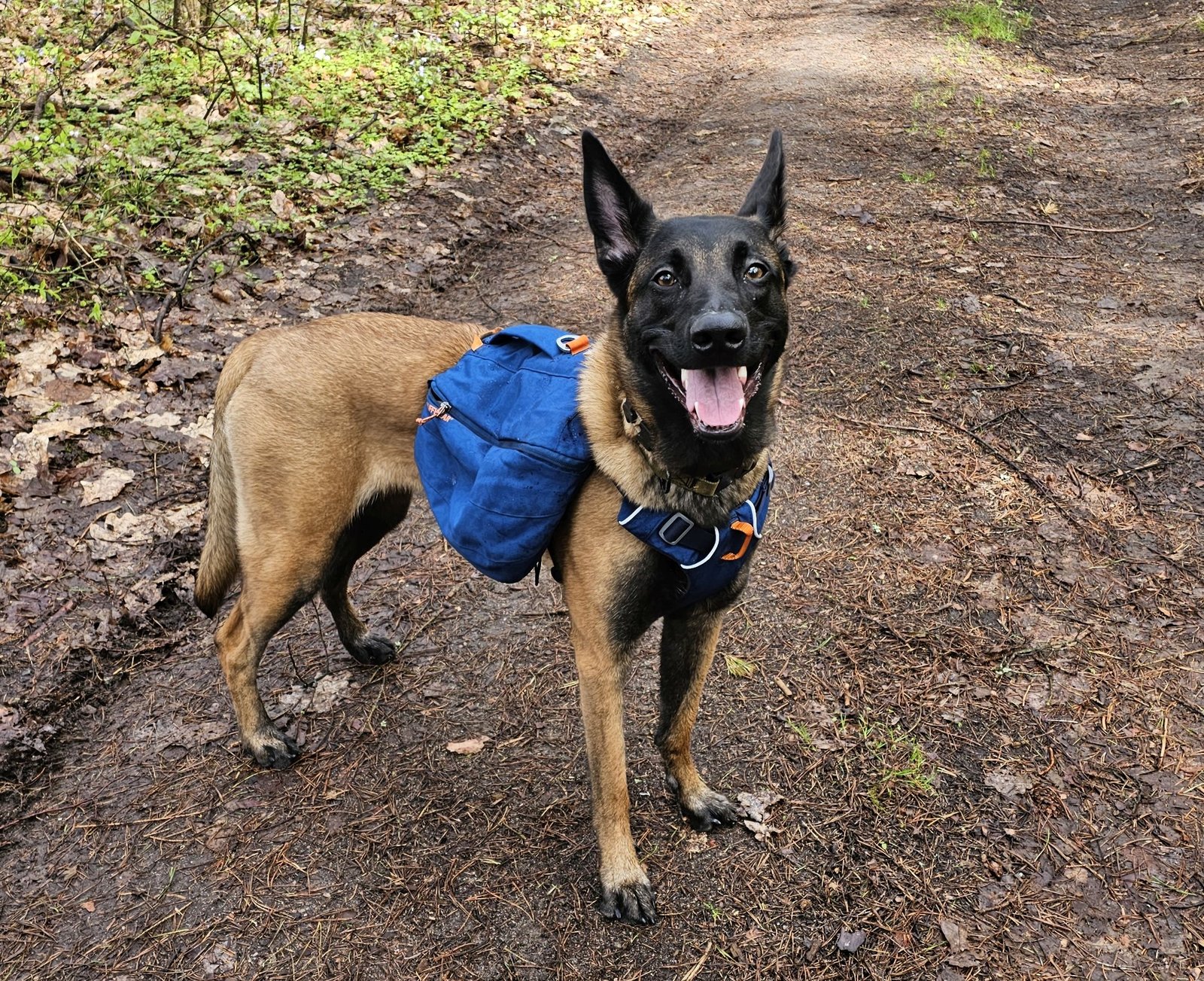 Gyvenimo būdo blogas: balandis 2024