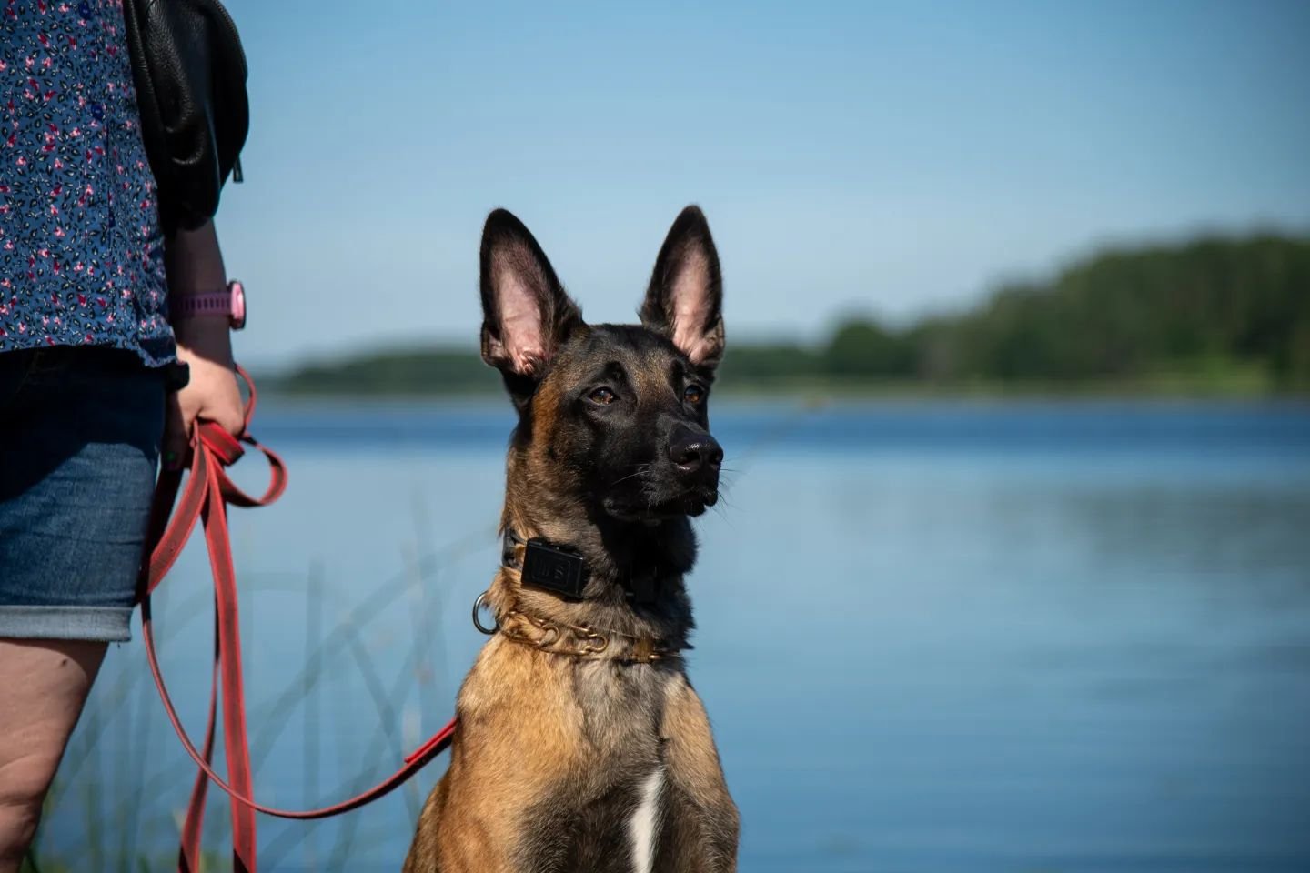 Gyvenimo būdo blogas: birželis 2024