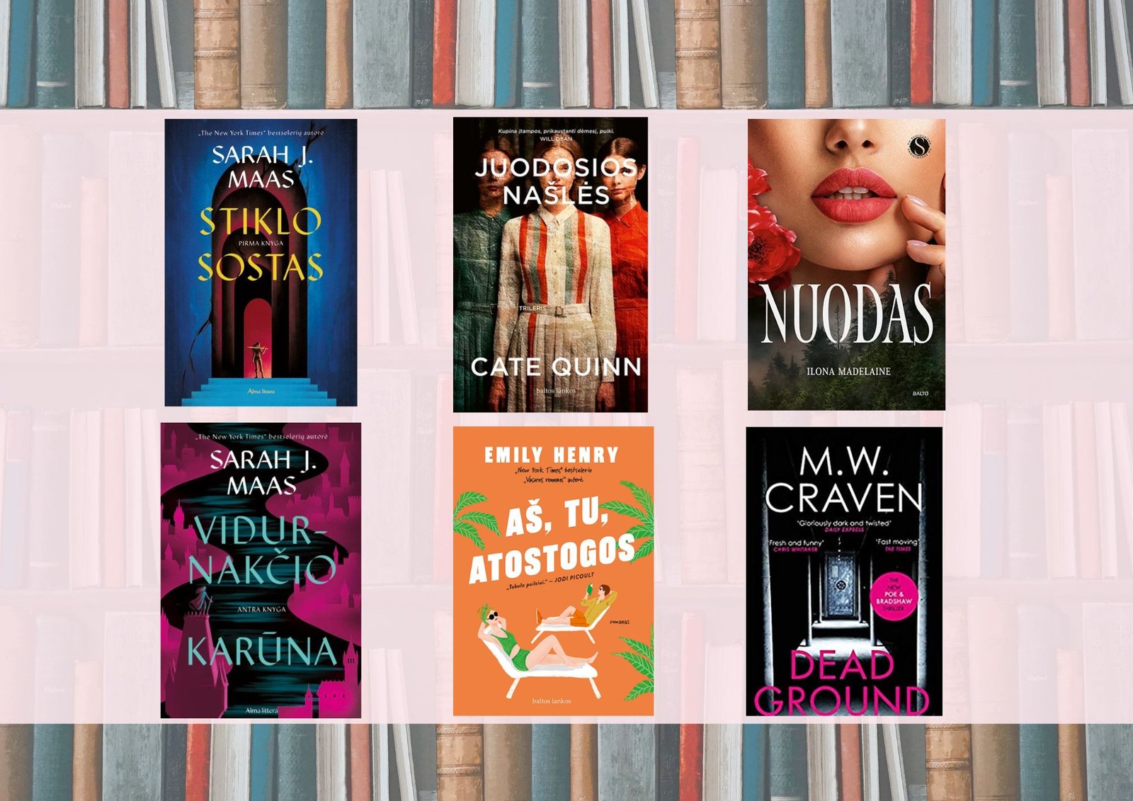 Knygų blogas: 2024 birželis