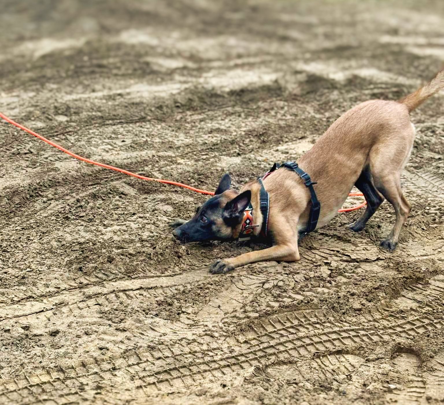 Gyvenimo būdo blogas: sausis 2025