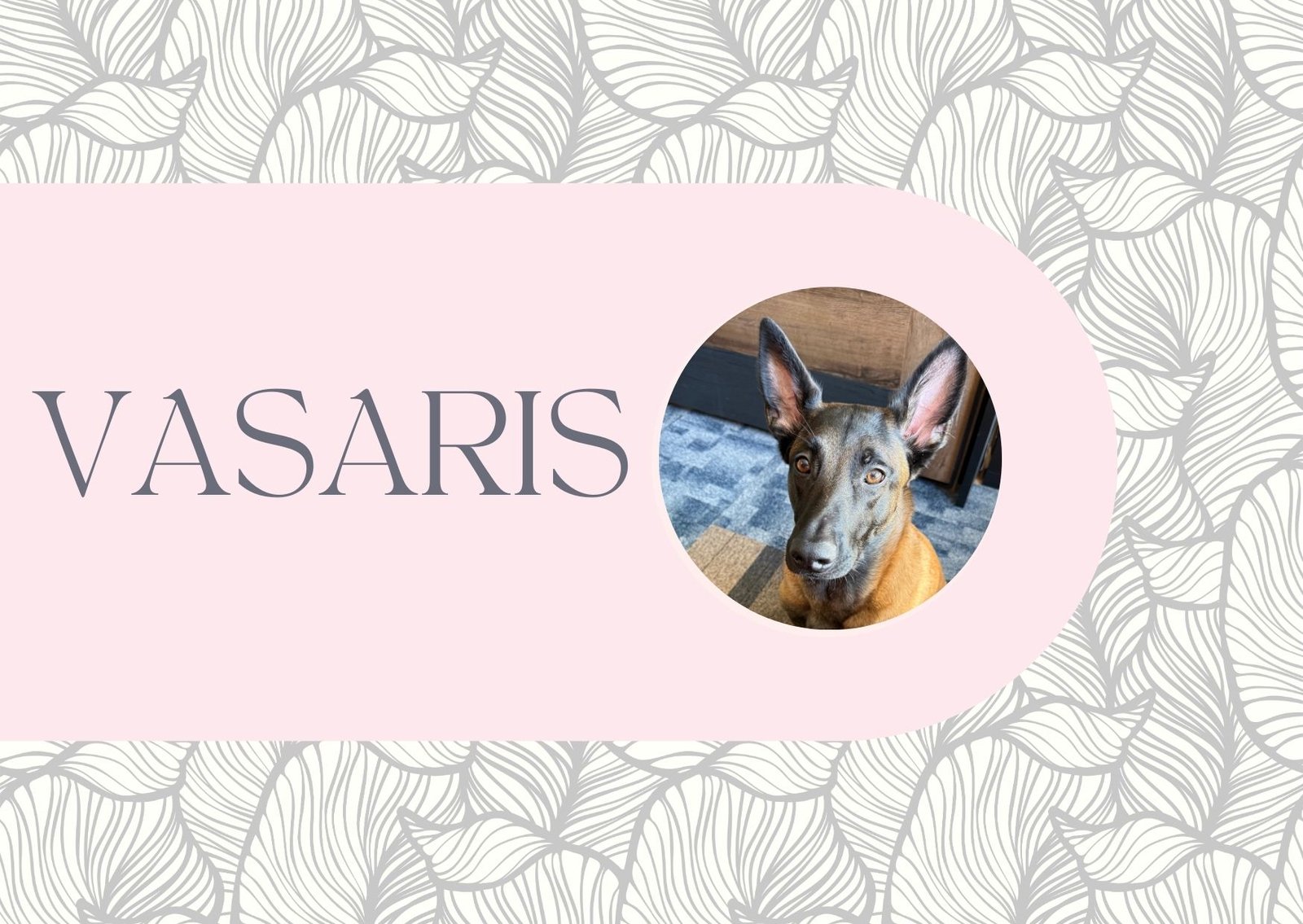 Gyvenimo būdo blogas: vasaris 2025