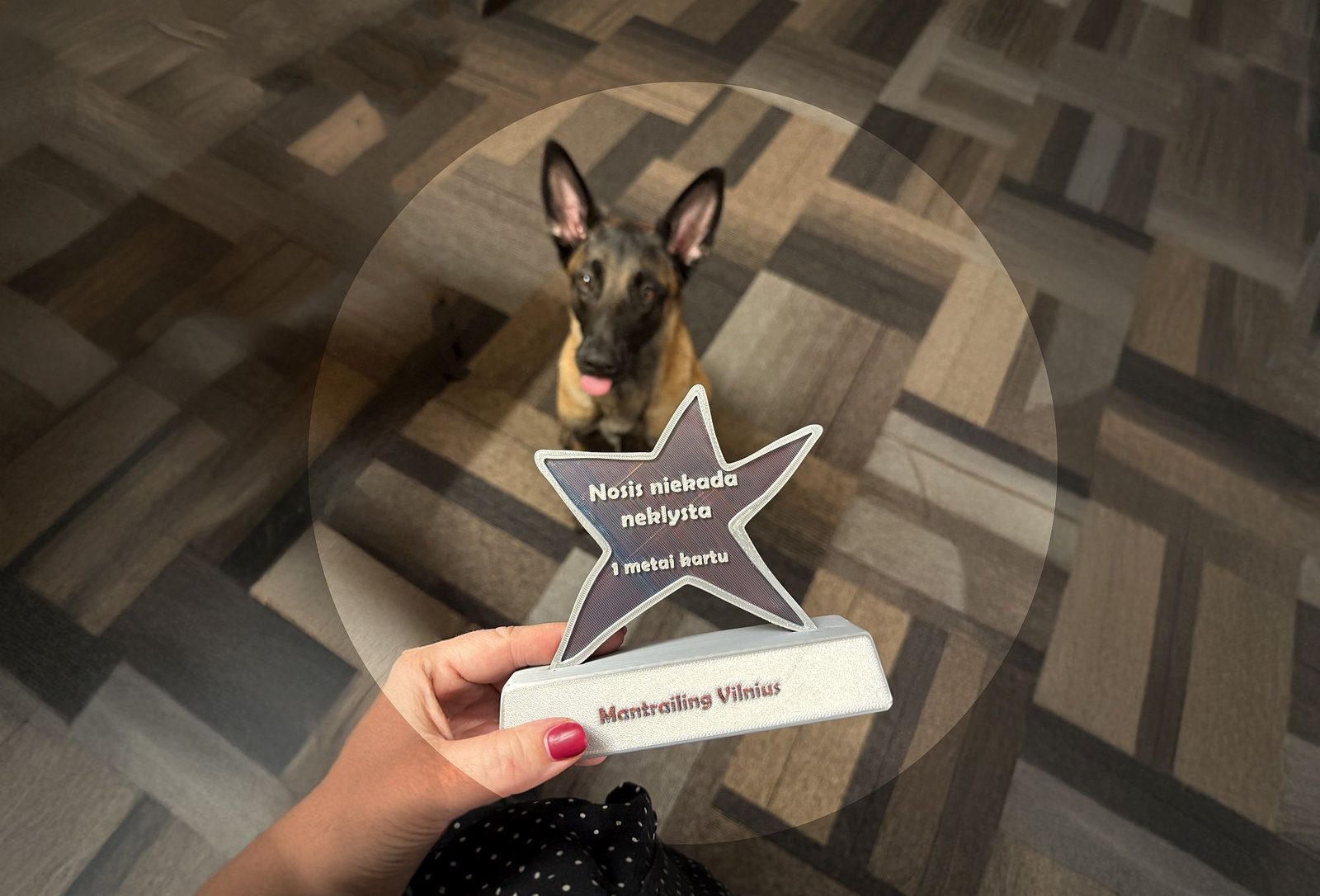 Gyvenimo būdo blogas: kovas 2025