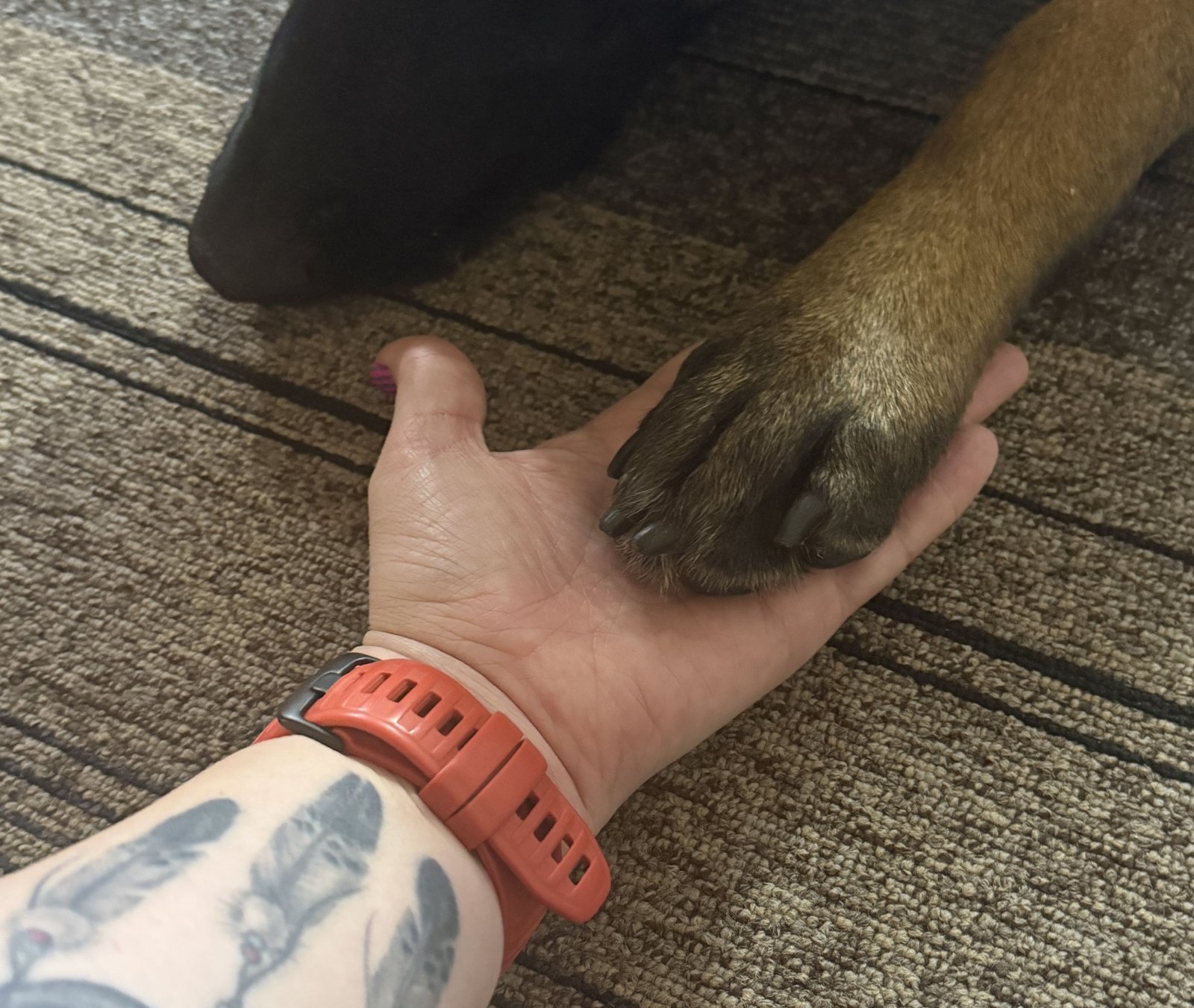 Gyvenimo būdo blogas: balandis 2025