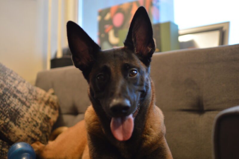 Gyvenimo būdo blogas: lapkritis 2025