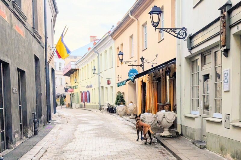 Gyvenimo būdo blogas: vasaris 2026